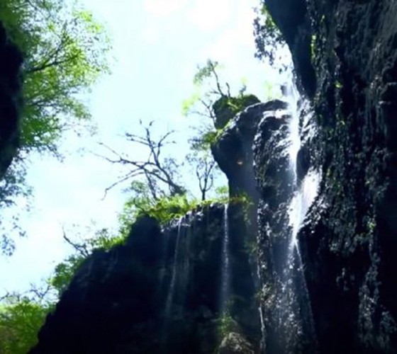 青山綠水，白龍江畔江畔息白鷺，兩岸綠橄欖入眼的都是純樸自然枝上花開(kāi)，春來(lái)水暖魚(yú)蝦戲水，鳥(niǎo)語(yǔ)花香心中充滿(mǎn)著舒暢之感祥宇生態(tài)產(chǎn)業(yè)園，位于隴南市武..